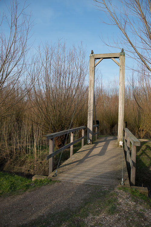 EVP_1458.jpg
