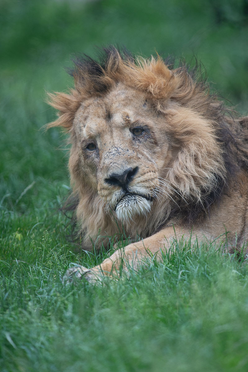 Blijdorp_2019-269_v1.jpg