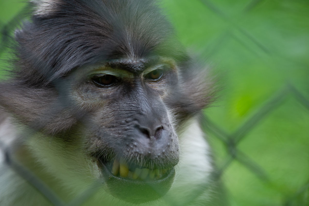 Blijdorp_2019-387_v1.jpg