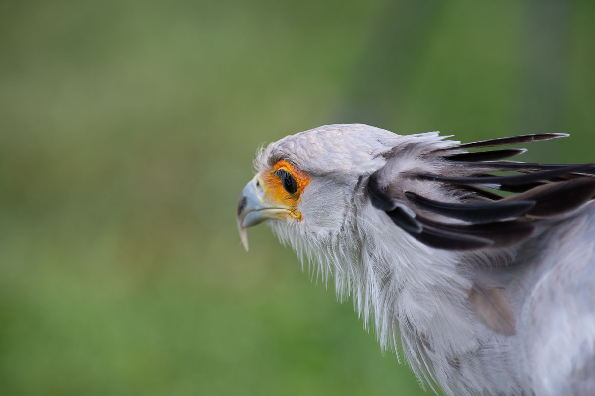 Blijdorp_2019-409_v1.jpg