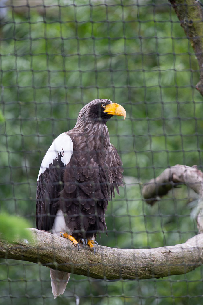 Blijdorp_2019-137_v1.jpg