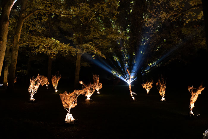 Lichtshow Lichtshow
