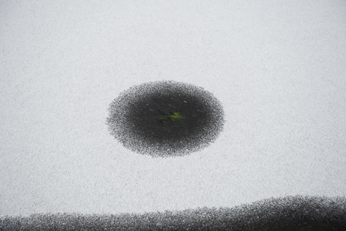 Schiedam in de sneeuw